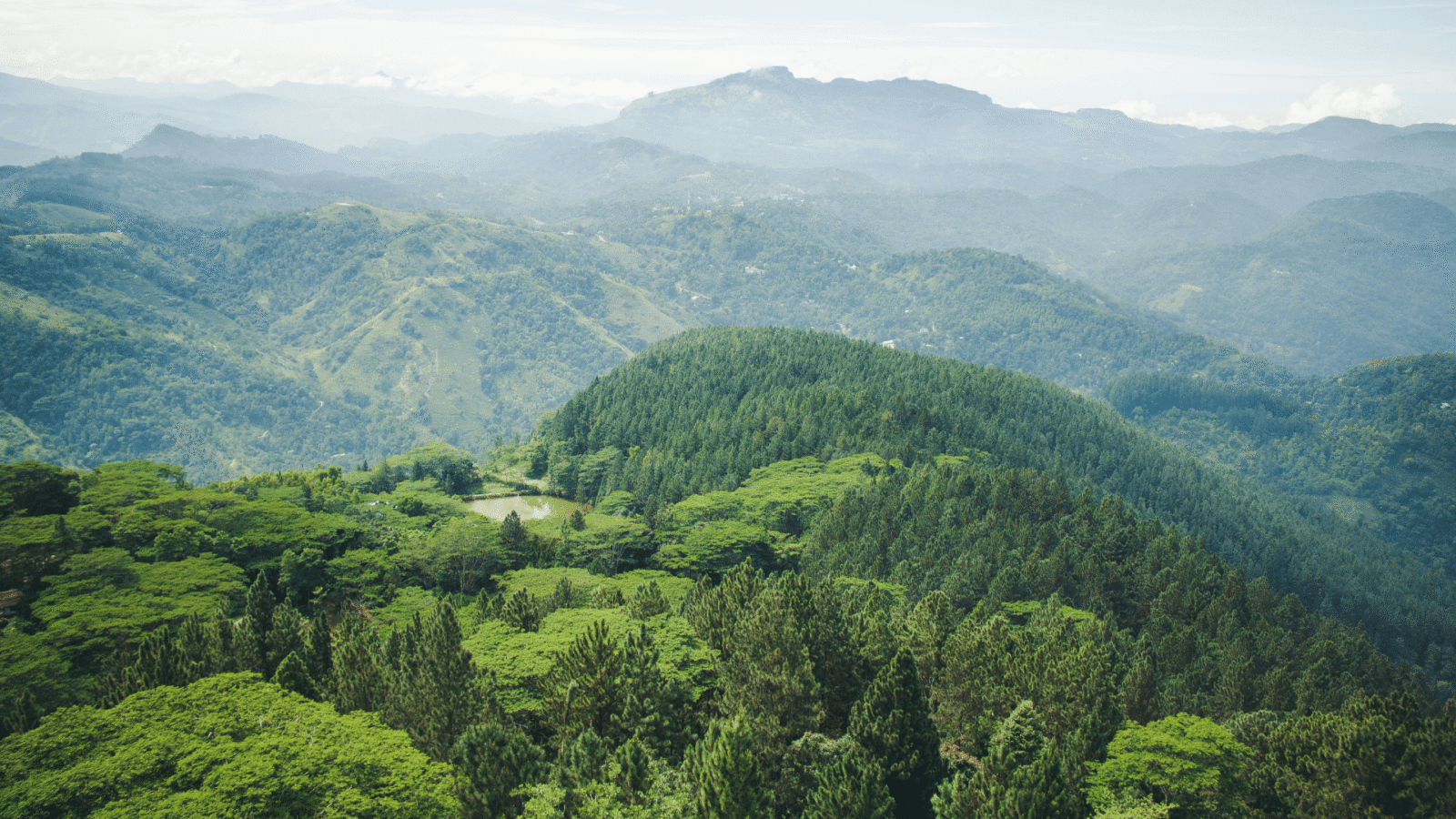 Hiking Sri Lanka (4)