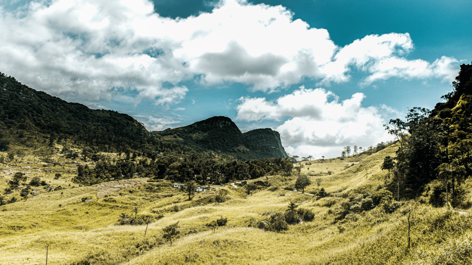 Hiking Sri Lanka (5)