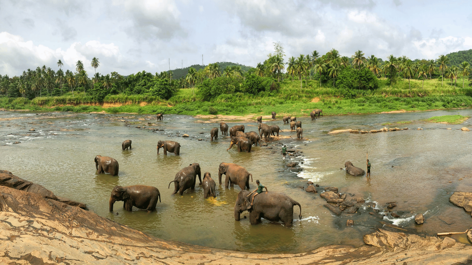 Sri Lanka Safari 1 (12)