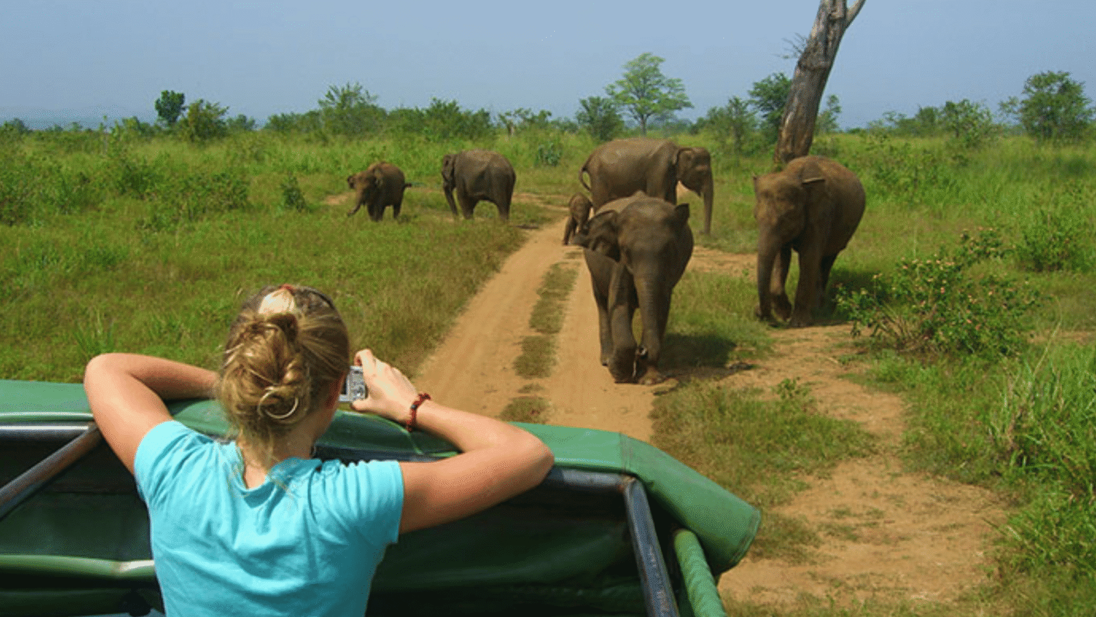Sri Lanka Safari (2)