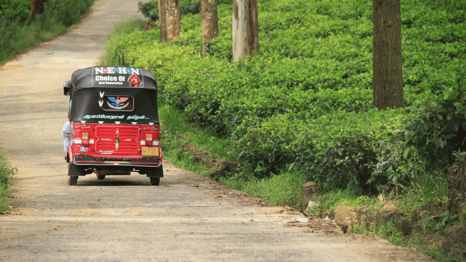 Tea Plantation Sri Lanka (4)