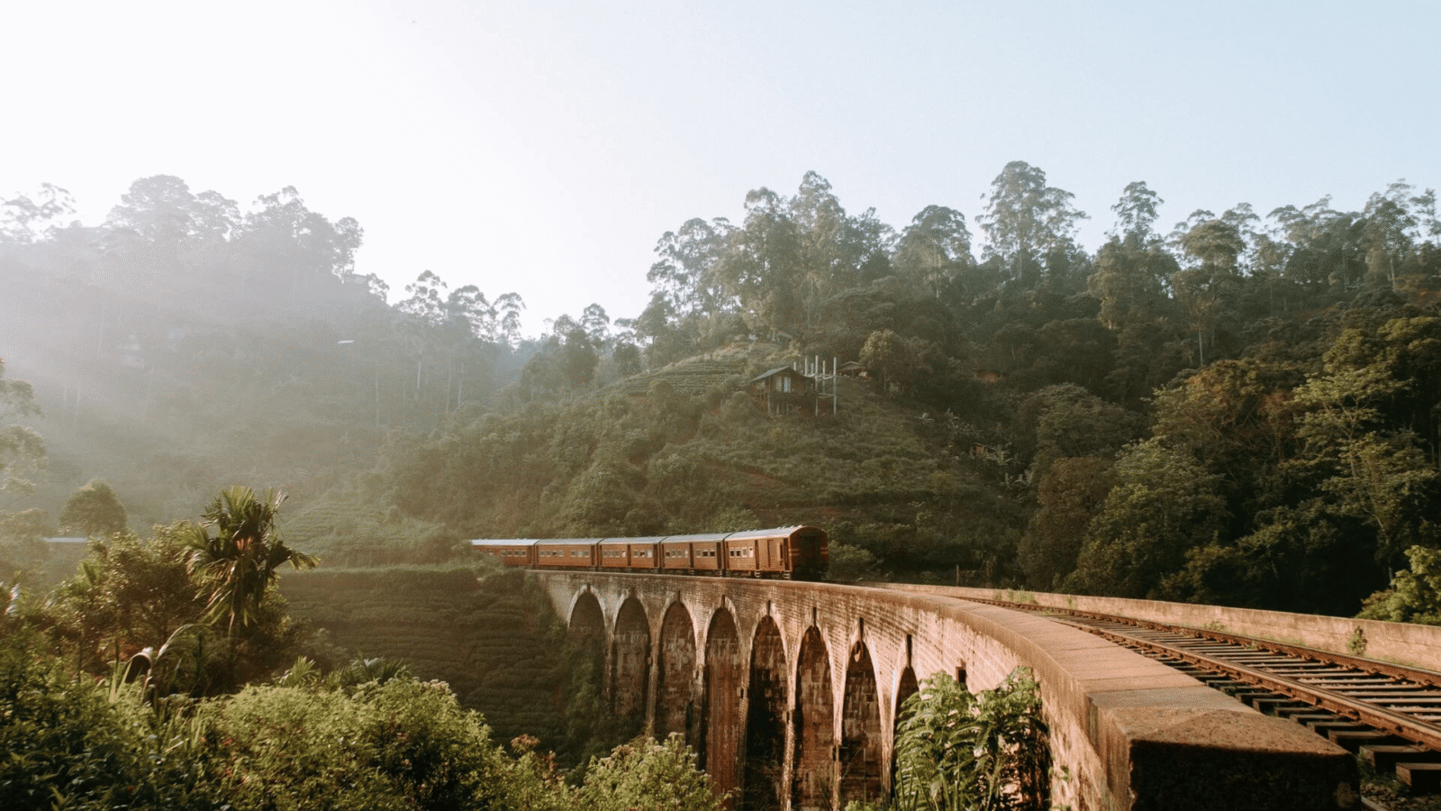 Train tour Sri Lanka (3)