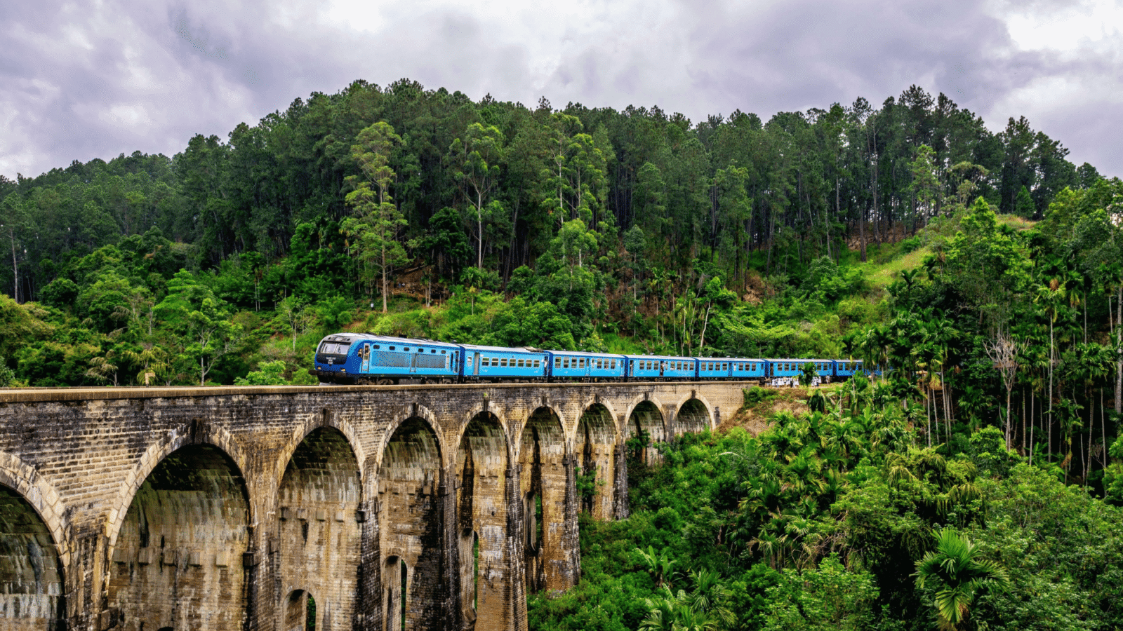 Train tour Sri Lanka (6)