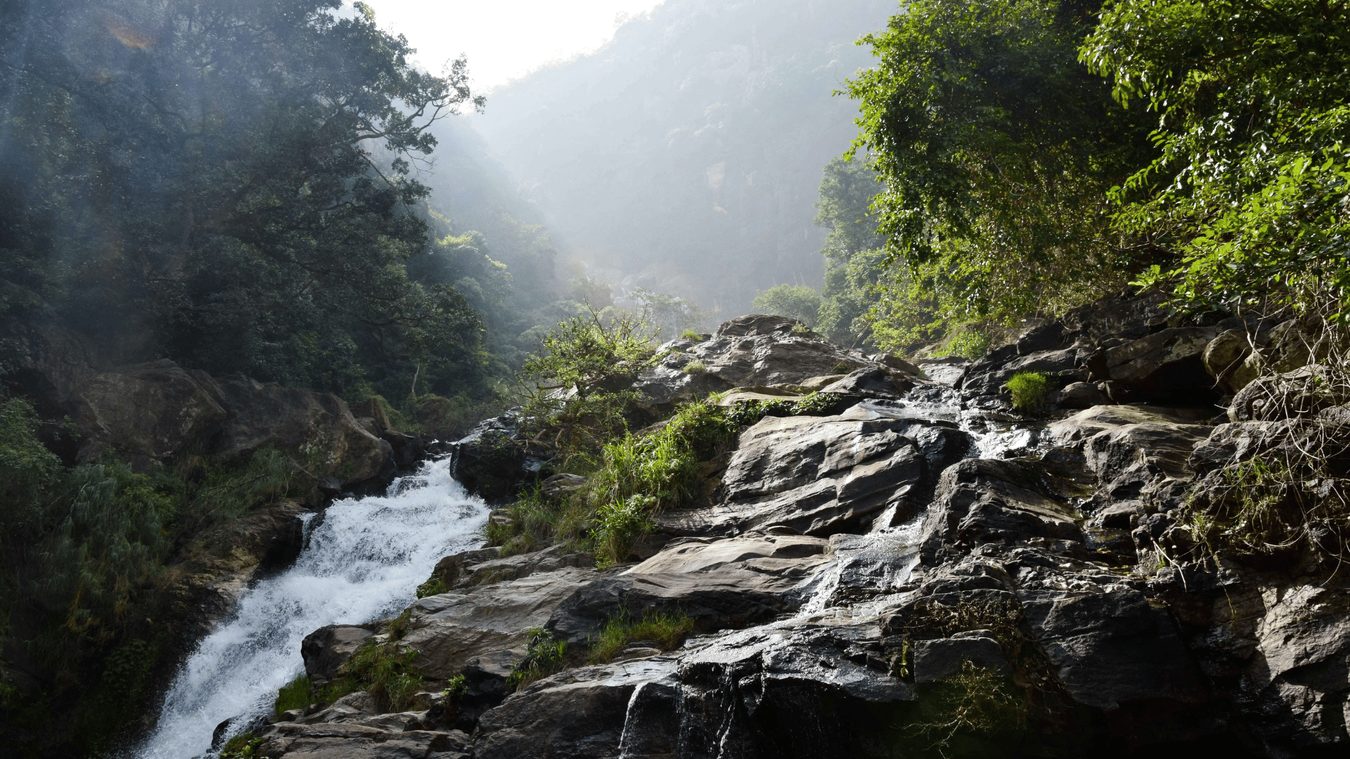 Waterfall Sri Lanka (11)